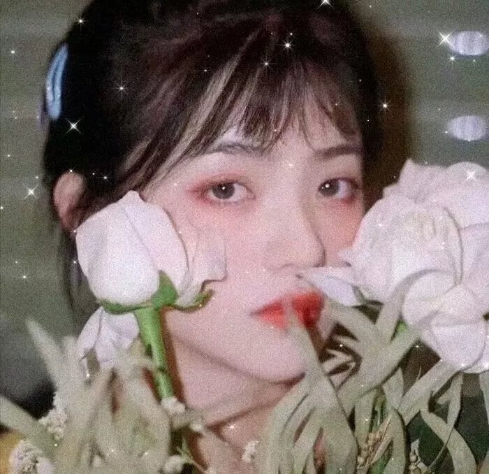 不能就这样死去